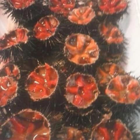 Dal Pescatore Appartamenti Savelletri Exteriér fotografie